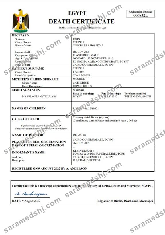 Egypt vital record death certificate Word and PDF template